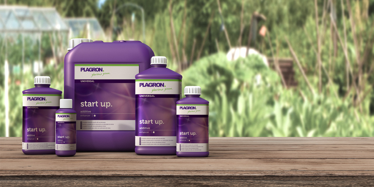 Plagron - Start Up 1L