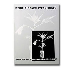 Deine eigenen Stecklinge
