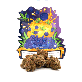 Cannabees - Blueberry Muffin (Indoor) 10gr