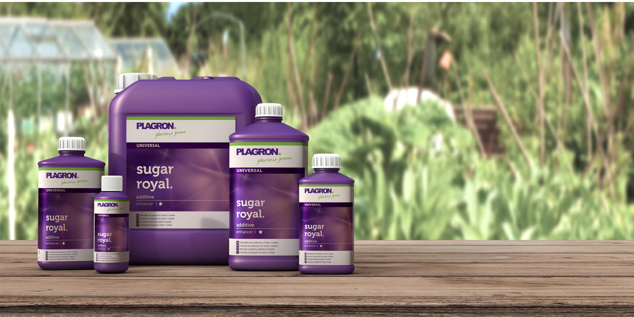 Plagron - Sugar Royal 250ml